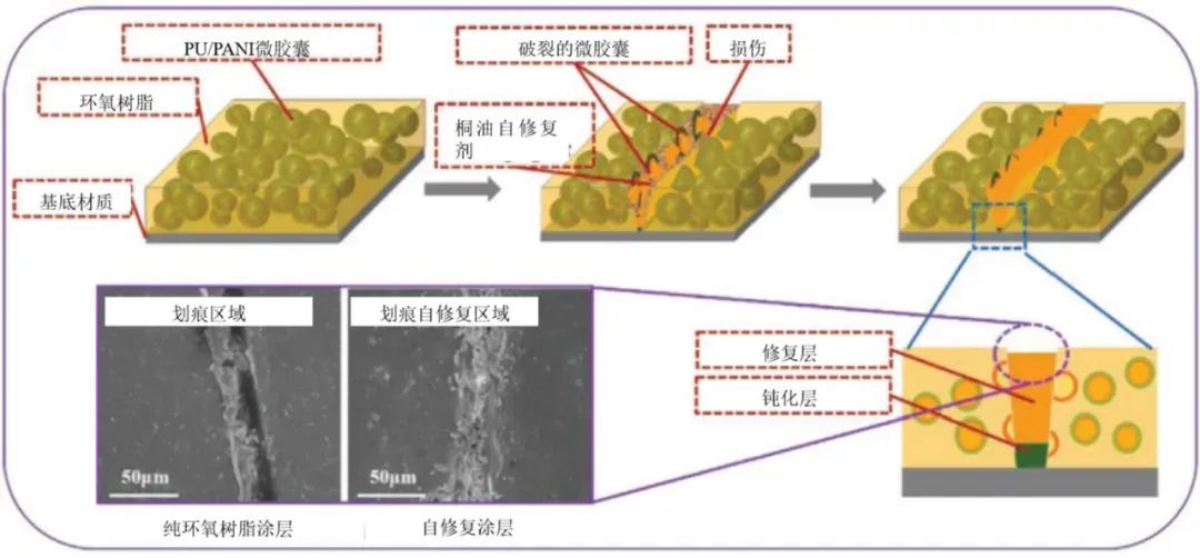 分散染料染纤维的种类及应用概述